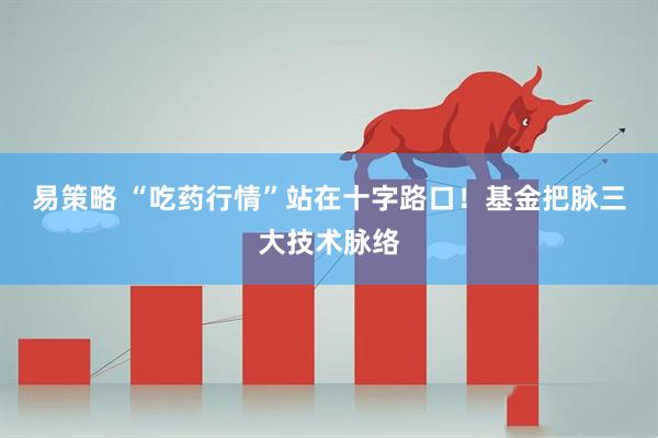 易策略 “吃药行情”站在十字路口！基金把脉三大技术脉络