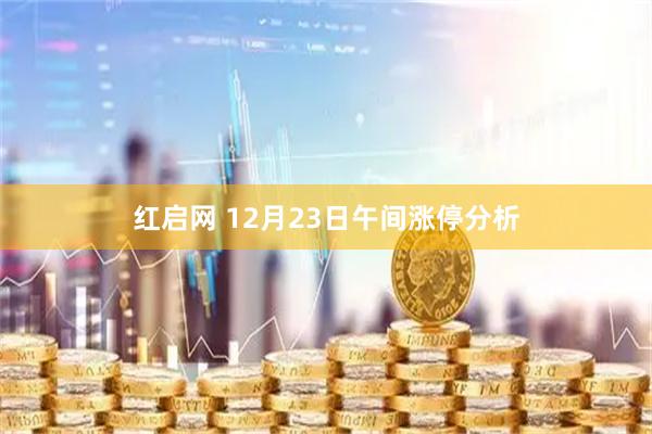 红启网 12月23日午间涨停分析