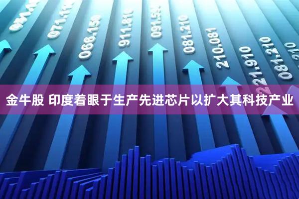 金牛股 印度着眼于生产先进芯片以扩大其科技产业