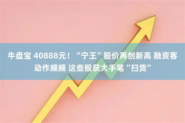 牛盘宝 40888元！“宁王”股价再创新高 融资客动作频频 这些股获大手笔“扫货”