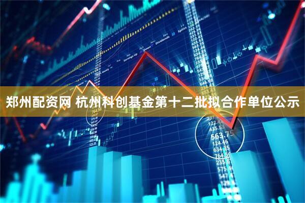 郑州配资网 杭州科创基金第十二批拟合作单位公示